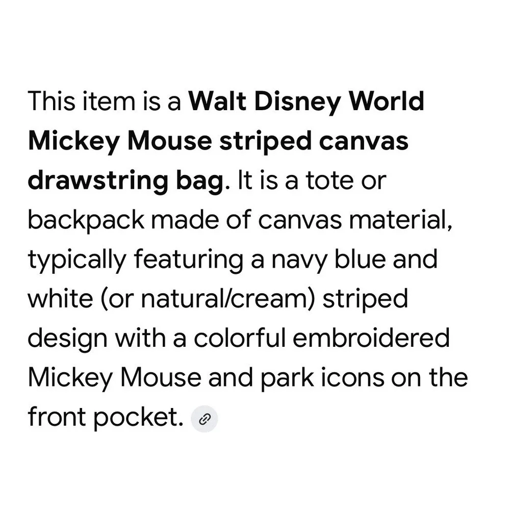 Vintage Disney World Pull String Duffel Bag 15